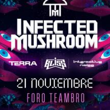 Flyer de Infected Mushroom