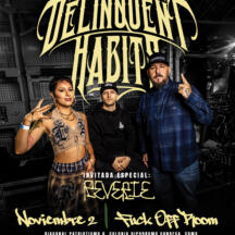 Flyer de Delinquent Habits